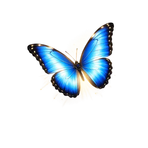 Blauer Schmetterling, Symbol von Bestattung Himmelsfalter